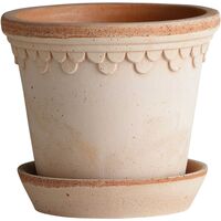 Copenhagen Pot Rose 18 cm