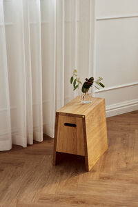 Plinth Pall Ek