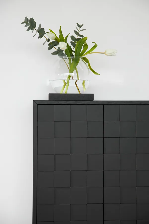 Collect 2016 Skab Sort / Sortbejdset Egetræ