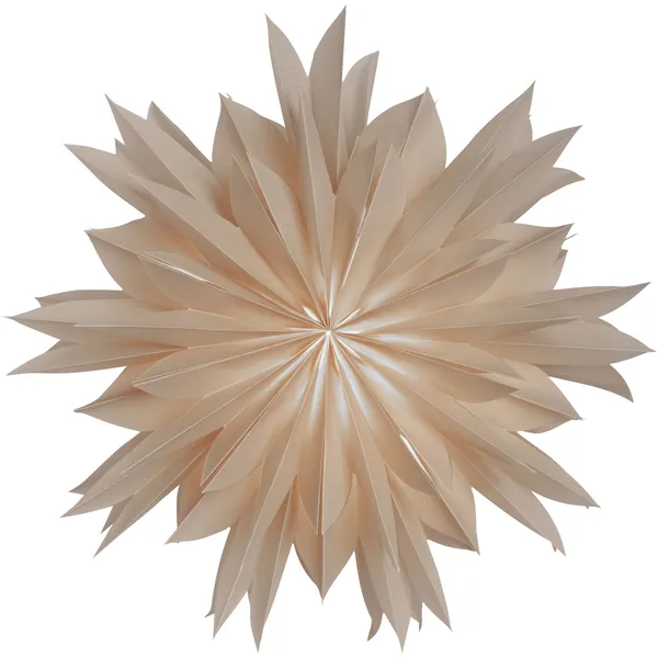 Athena 50 Christmas Star Beige