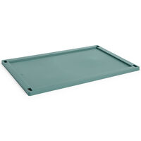 Colour Crate Plastic Large Låg Dark Green