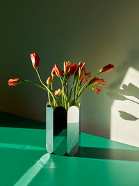 Arcs Vase Mirror
