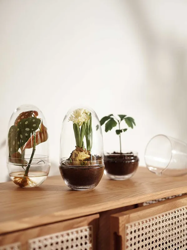Grow Minidrivhus M Klar