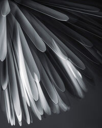 Sun – Light Of Love Taklampa MyLight 10 M Vit
