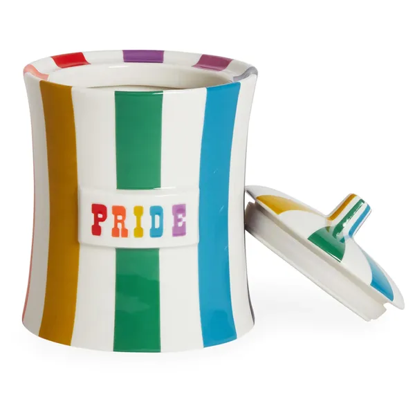 Vice Canister Pride Multi