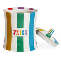 Vice Canister Pride Multi