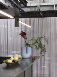 Fine Suspension Pendel 90 cm Deep Red