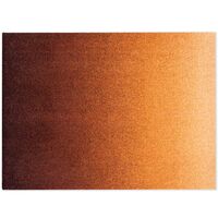 Dis Dørmåtte Rust 85x115 cm