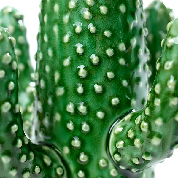 Cactus Vase M Grøn