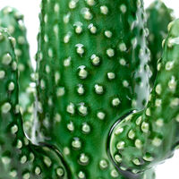 Cactus Vase M Grøn