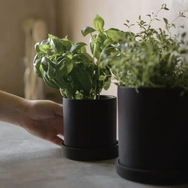 Grow Kruka Med Fat Creme