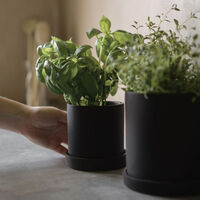Grow Kruka Med Fat Creme