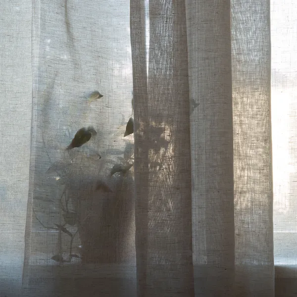 Sophie Gardin Dobbelt Bredde Natur 290x270 cm