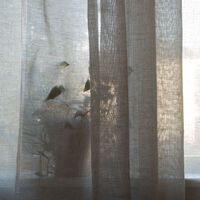 Sophie Gardin Dobbelt Bredde Natur 290x270 cm
