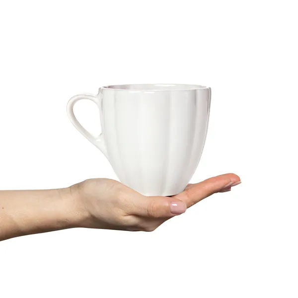 Oyster Mugg 60 cl Vit