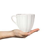 Oyster Mugg 60 cl Vit