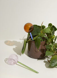 Flora Selvvanding Blå/Ravfarvet