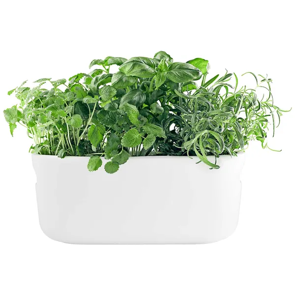 Herb Organiser Selvvandende Krukke Hvid