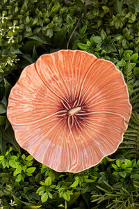 Maria Flor Tallerken 22 cm Stokrose