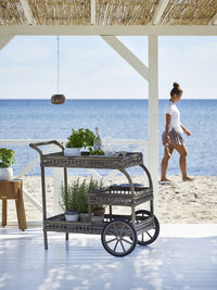 James Serveringsvagn Outdoor Antique