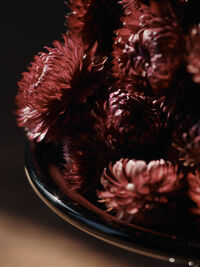 Damo Serveringsfad 21 cm Dark Grape