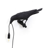 Bird Lamp Looking Sort