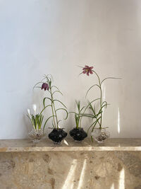 Canyon Mini Vase 8 cm New Smoke