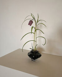Canyon Mini Vase 8 cm New Smoke