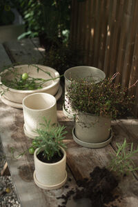 Plant Ruukku Small 2 kpl:n pakkaus Beige