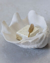 Shell Deco White Small