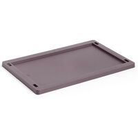 Colour Crate Plastic Small Lock Bordeaux