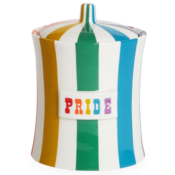Vice Canister Pride Multi