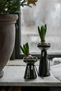 Bulb Vase H20 cm 2-pack