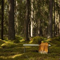 Bænk 8 110 cm Hvidtlakeret Eg / Varmgalvaniseret Stål
