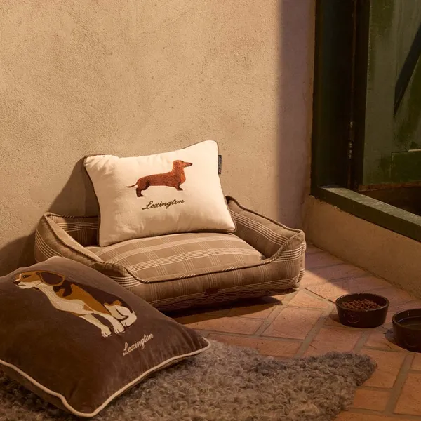 Dog Kuddfodral 50x50 cm Brun