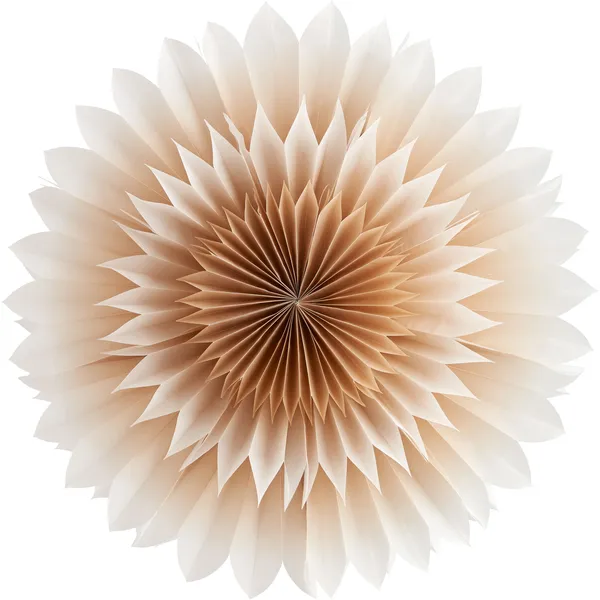 Lily Pappersstjärna Golden Beige 56 cm