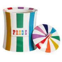 Vice Canister Pride Multi