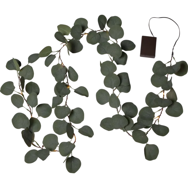 Eucalyptus Guirlande