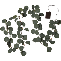 Eucalyptus Guirlande
