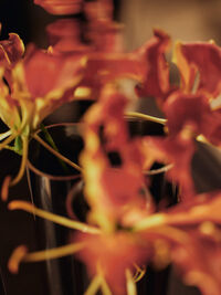 Eddy Mirror Vase