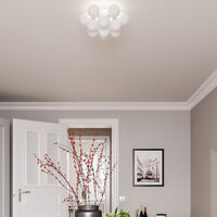 Gross Plafond 30 cm Matthvit