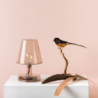 Transloetje Bordlampe Transparent