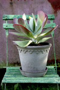 Copenhagen Ruukku Harmaa 21 cm