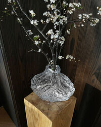 Canyon Vase 23 cm Klar