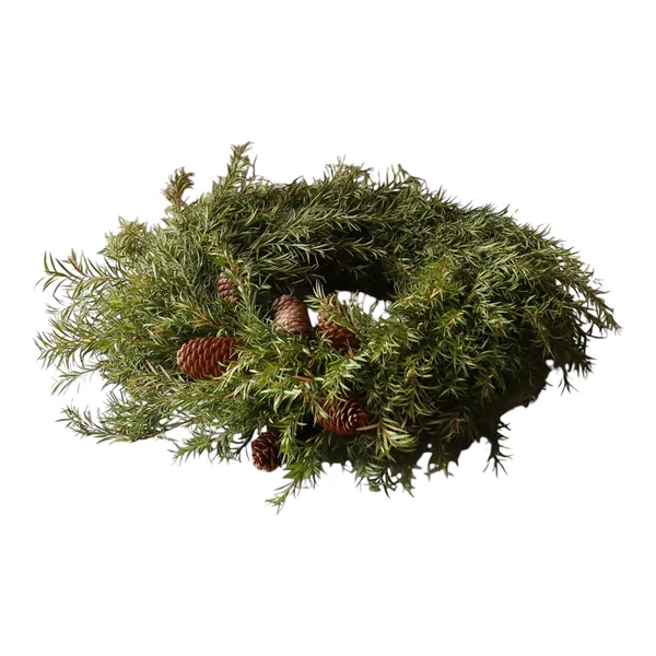 Pine Seppele