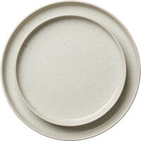 BON Tallerken 22 cm Steam