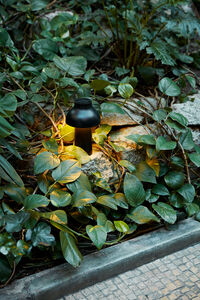 Pc Portable Bordlampe Soft black