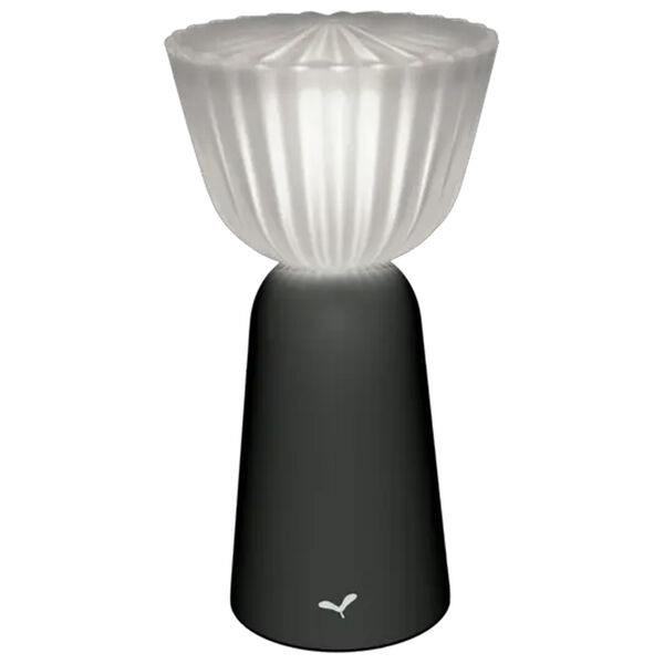 Swiing Bordlampe Bærbar Antrasitt