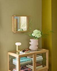 Base Spegel Natur