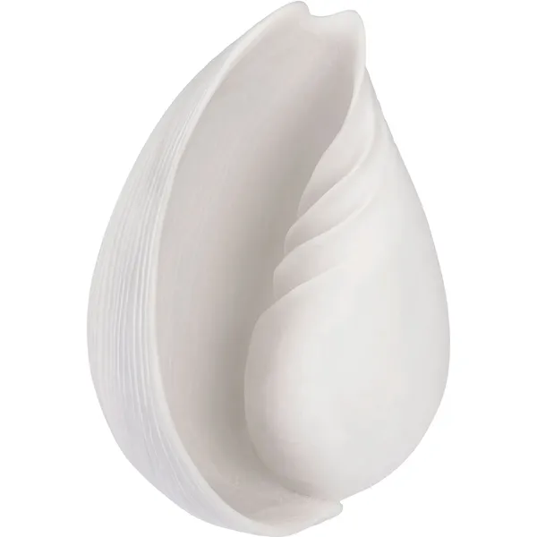 CONCH shell Dekoration Offwhite Stor